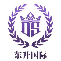 东升国际